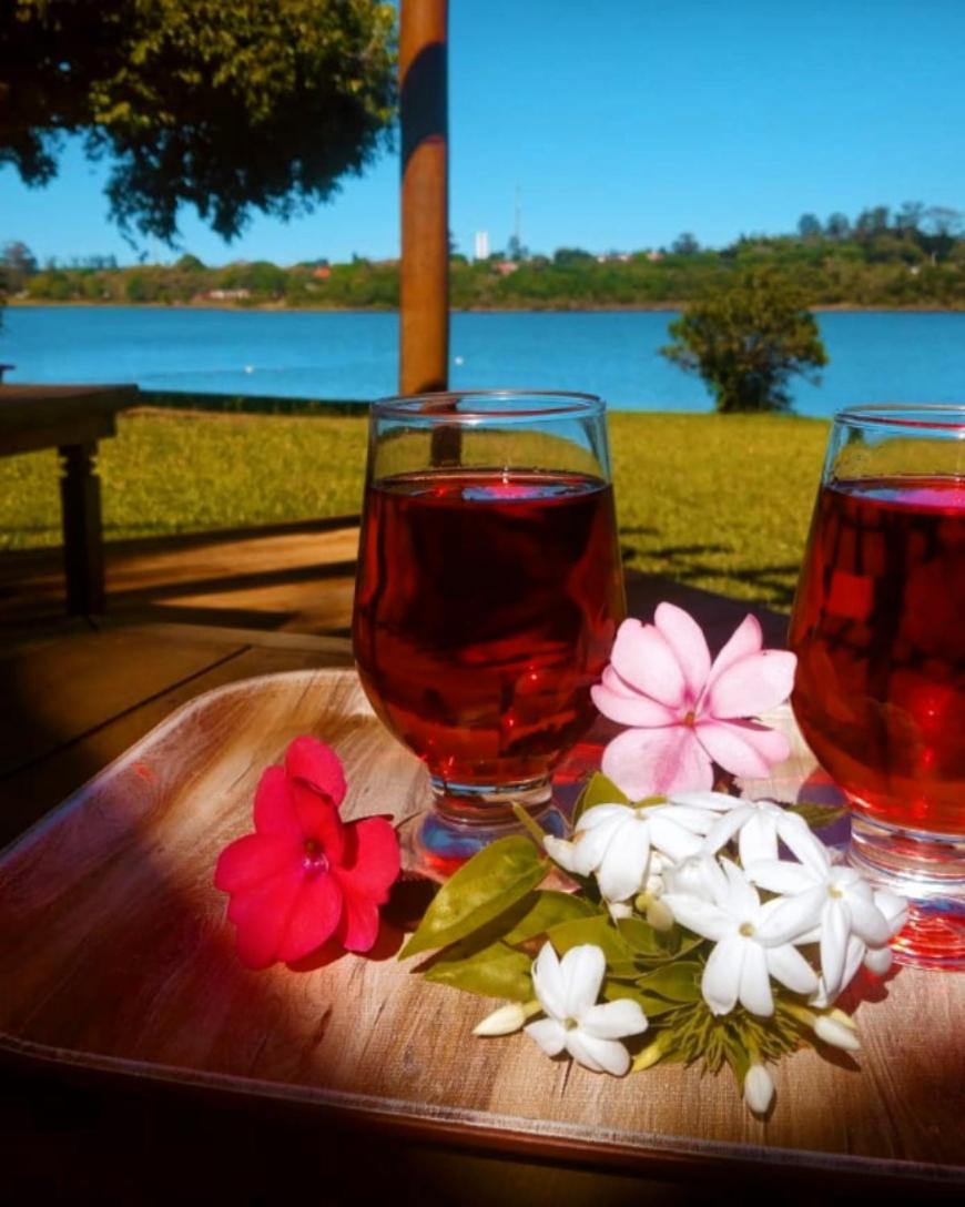 Farm stay Eco Sinha Ruth - Ideal Descanso - Piscina, Cafe Da Manha Rural, Area Brotas
